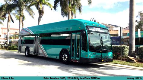Palm tran bus. Things To Know About Palm tran bus. 